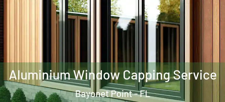  Aluminium Window Capping Service Bayonet Point - FL
