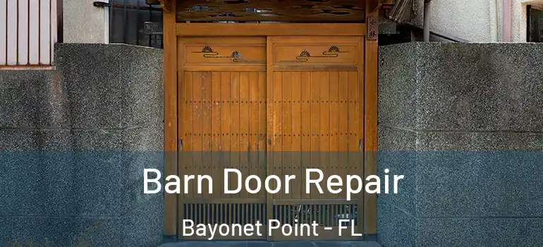  Barn Door Repair Bayonet Point - FL