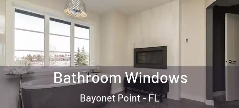  Bathroom Windows Bayonet Point - FL