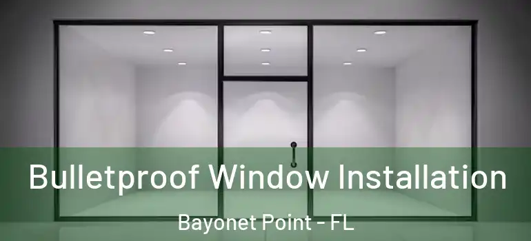  Bulletproof Window Installation Bayonet Point - FL