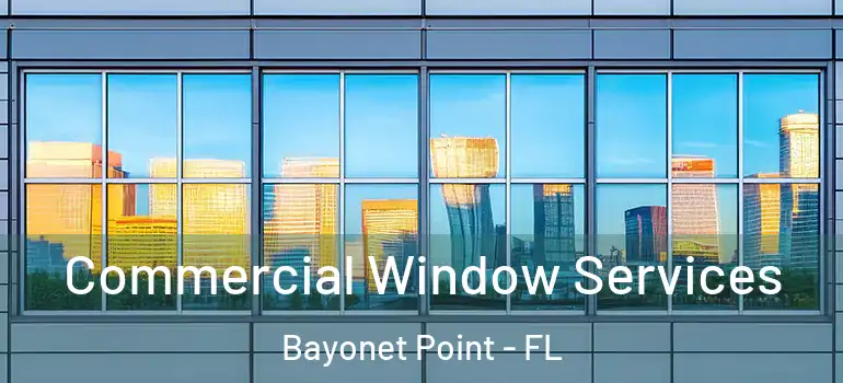  Commercial Window Services Bayonet Point - FL