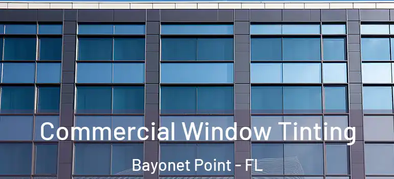  Commercial Window Tinting Bayonet Point - FL