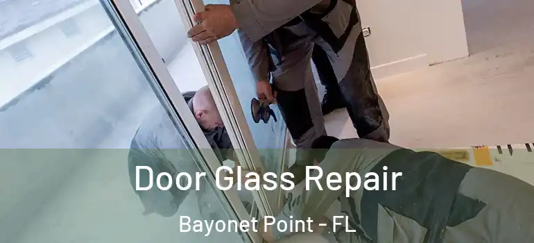  Door Glass Repair Bayonet Point - FL