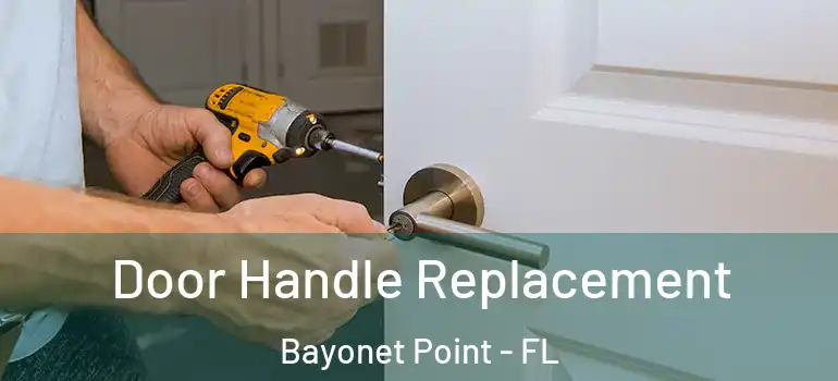  Door Handle Replacement Bayonet Point - FL