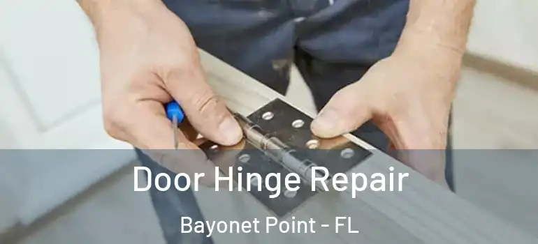  Door Hinge Repair Bayonet Point - FL