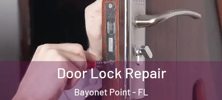  Door Lock Repair Bayonet Point - FL