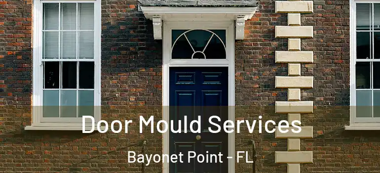  Door Mould Services Bayonet Point - FL
