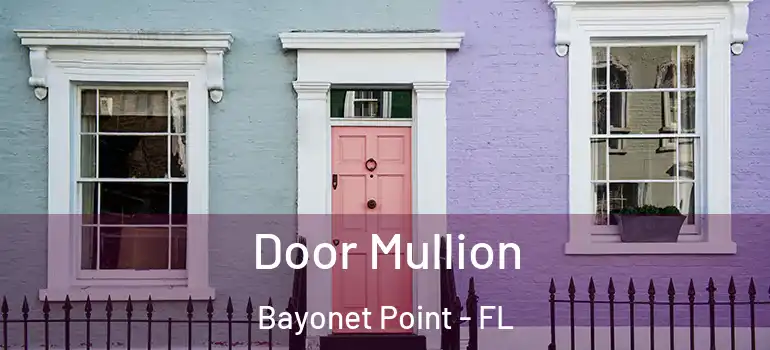  Door Mullion Bayonet Point - FL