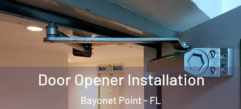  Door Opener Installation Bayonet Point - FL