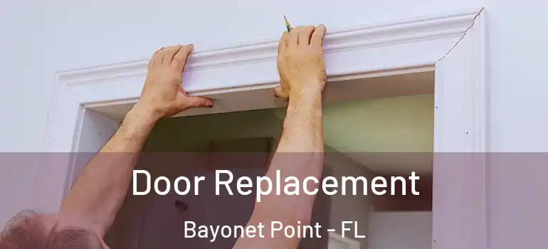  Door Replacement Bayonet Point - FL