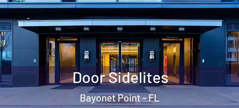  Door Sidelites Bayonet Point - FL