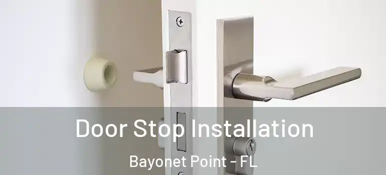  Door Stop Installation Bayonet Point - FL