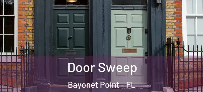  Door Sweep Bayonet Point - FL
