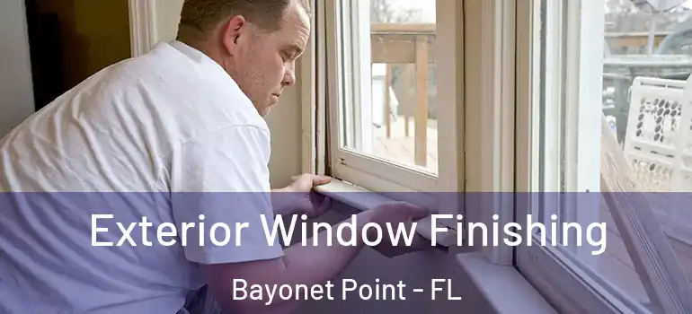  Exterior Window Finishing Bayonet Point - FL