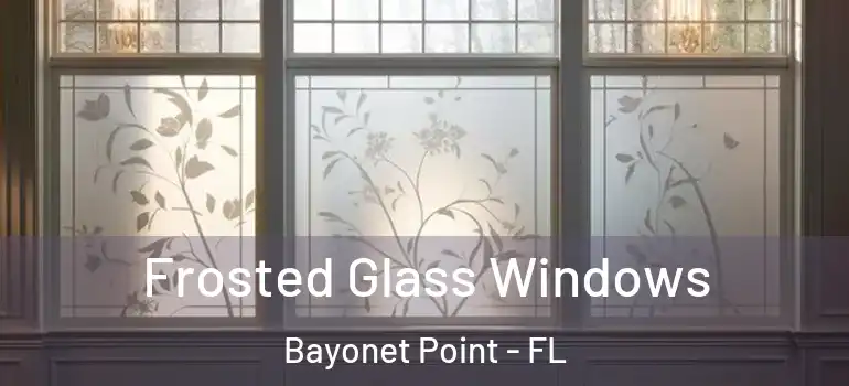  Frosted Glass Windows Bayonet Point - FL