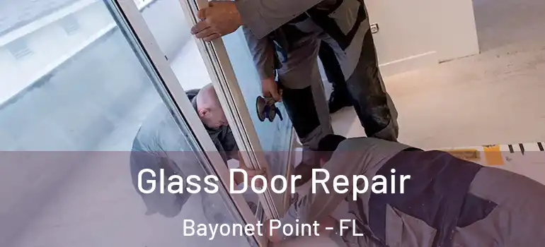  Glass Door Repair Bayonet Point - FL