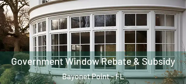  Government Window Rebate & Subsidy Bayonet Point - FL