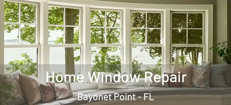  Home Window Repair Bayonet Point - FL