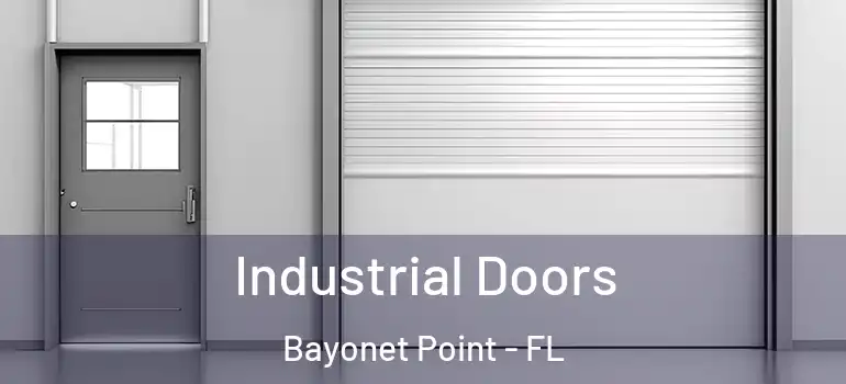  Industrial Doors Bayonet Point - FL