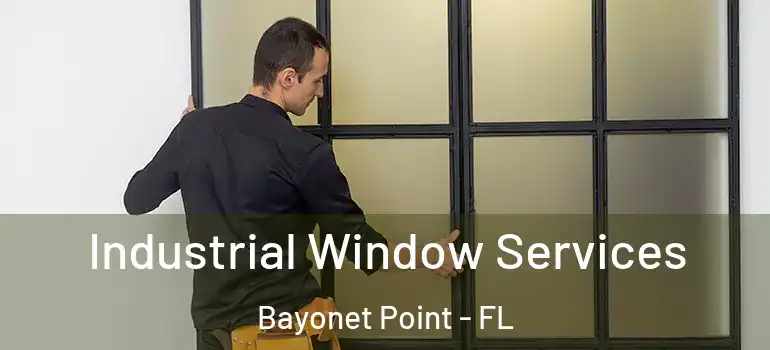  Industrial Window Services Bayonet Point - FL