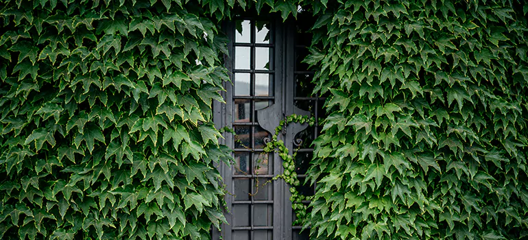 Garden Gate Repair in Bayonet Point, FL