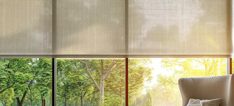 Custom Window Shades in Alafaya, FL