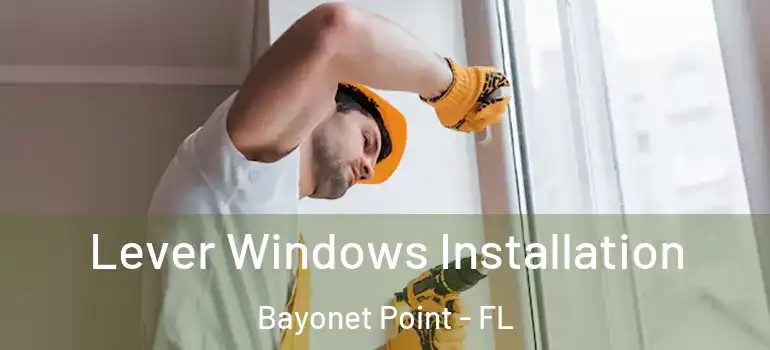  Lever Windows Installation Bayonet Point - FL