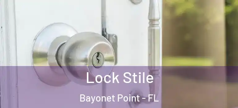  Lock Stile Bayonet Point - FL