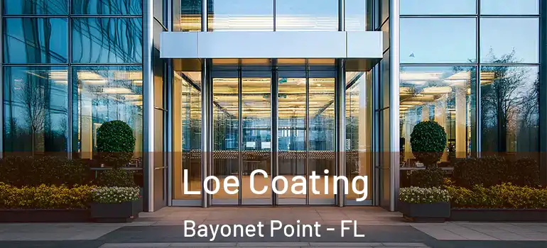  Loe Coating Bayonet Point - FL