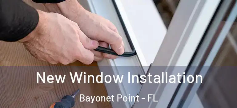  New Window Installation Bayonet Point - FL