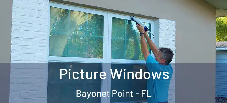  Picture Windows Bayonet Point - FL