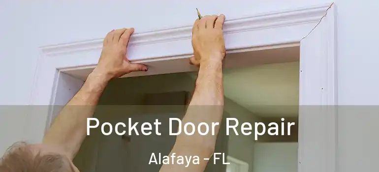 Pocket Door Repair Alafaya - FL