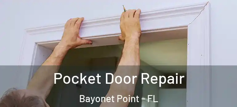  Pocket Door Repair Bayonet Point - FL