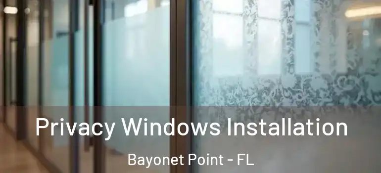  Privacy Windows Installation Bayonet Point - FL