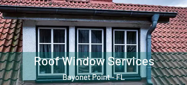  Roof Window Services Bayonet Point - FL