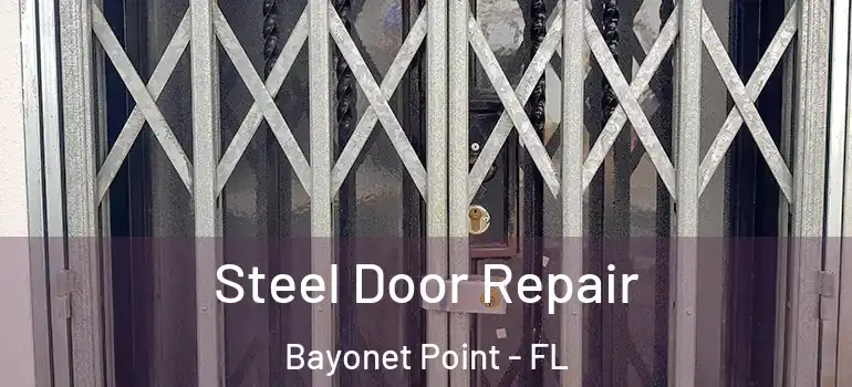  Steel Door Repair Bayonet Point - FL
