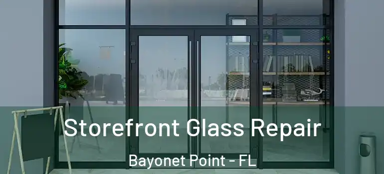  Storefront Glass Repair Bayonet Point - FL