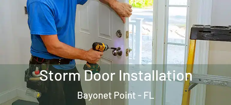  Storm Door Installation Bayonet Point - FL