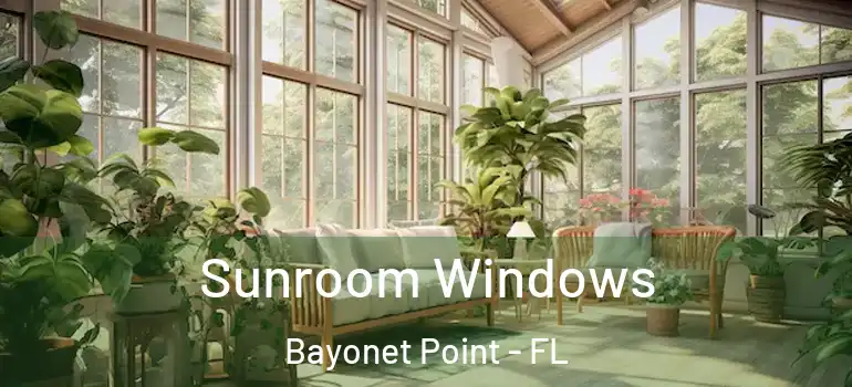  Sunroom Windows Bayonet Point - FL