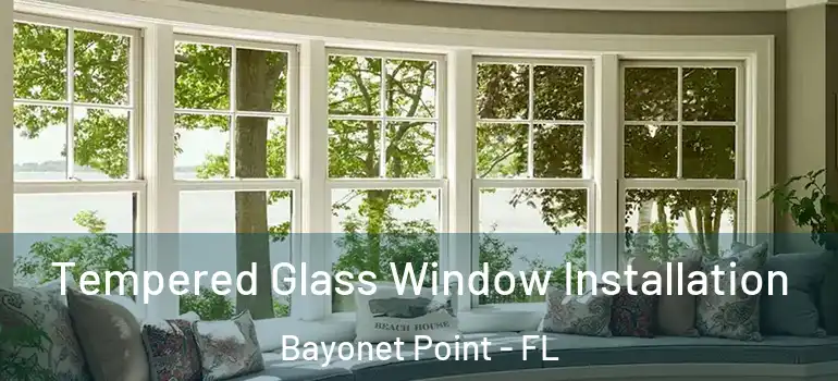  Tempered Glass Window Installation Bayonet Point - FL