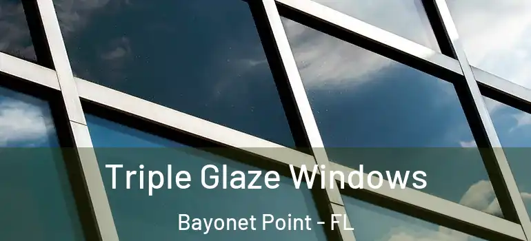  Triple Glaze Windows Bayonet Point - FL