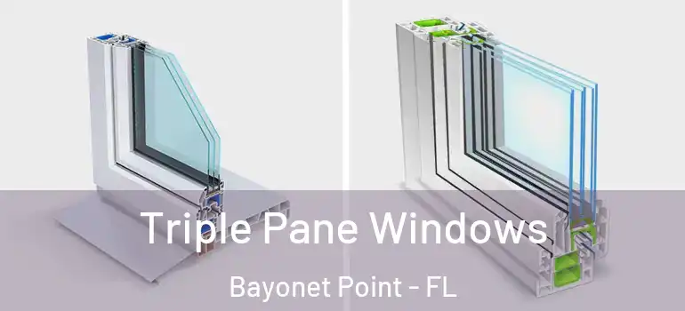  Triple Pane Windows Bayonet Point - FL