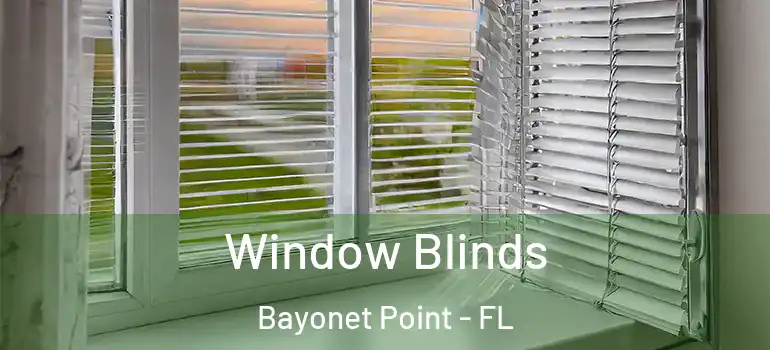 Window Blinds Bayonet Point - FL