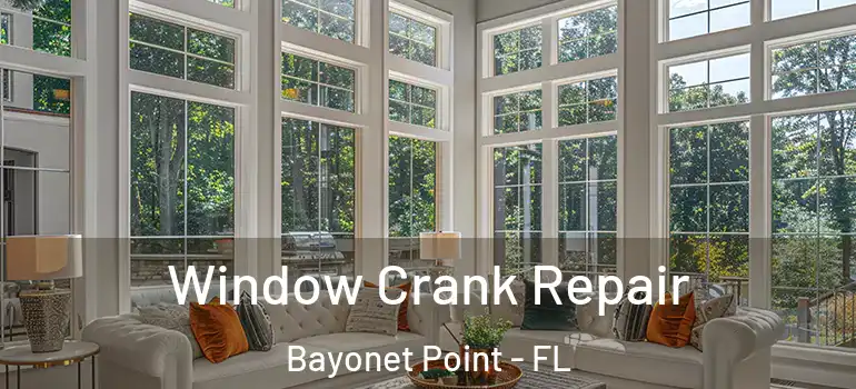 Window Crank Repair Bayonet Point - FL