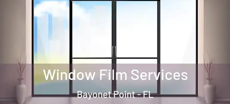  Window Film Services Bayonet Point - FL