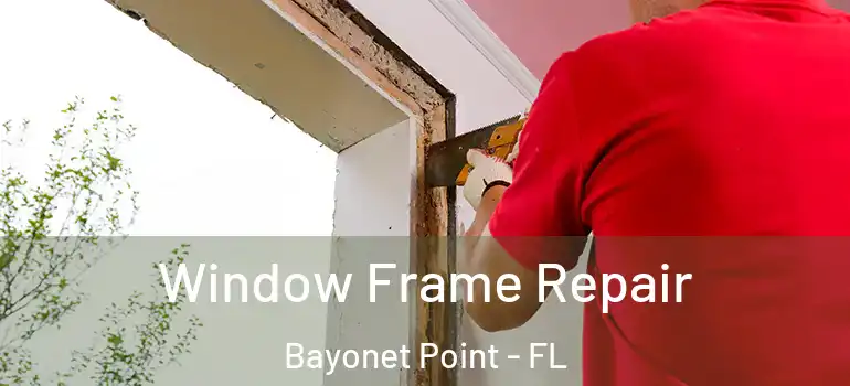  Window Frame Repair Bayonet Point - FL