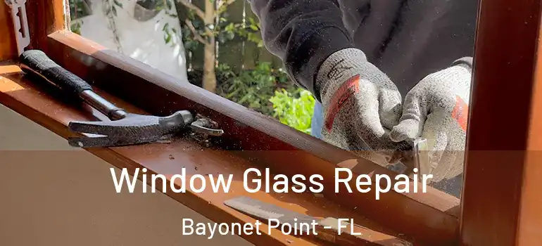  Window Glass Repair Bayonet Point - FL