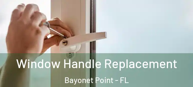 Window Handle Replacement Bayonet Point - FL