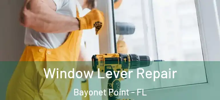  Window Lever Repair Bayonet Point - FL
