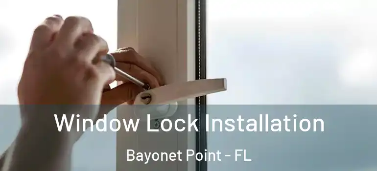  Window Lock Installation Bayonet Point - FL